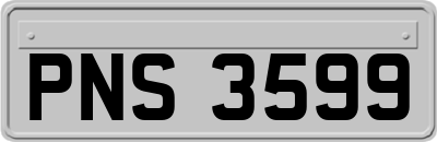 PNS3599