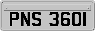PNS3601