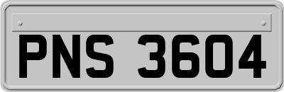 PNS3604