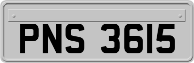PNS3615