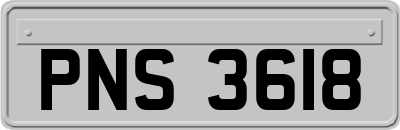 PNS3618