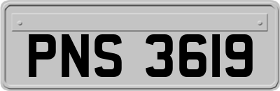 PNS3619