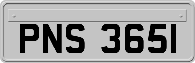 PNS3651