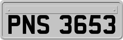PNS3653