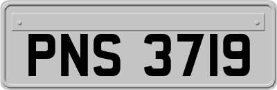 PNS3719