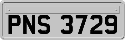 PNS3729