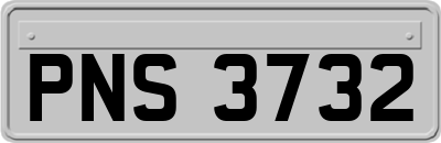 PNS3732