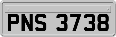 PNS3738