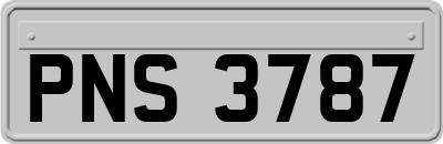 PNS3787