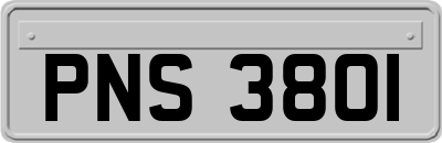 PNS3801