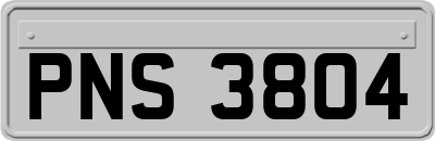 PNS3804