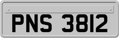 PNS3812