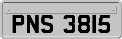 PNS3815