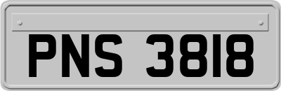 PNS3818