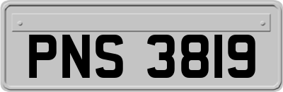 PNS3819