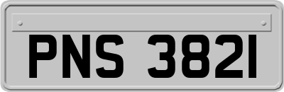 PNS3821