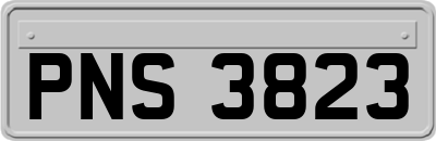 PNS3823