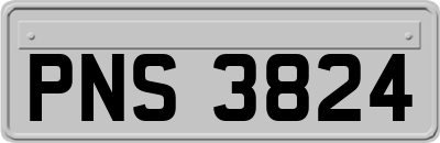 PNS3824