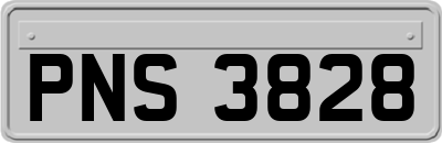 PNS3828