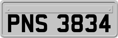 PNS3834