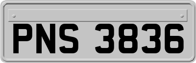 PNS3836