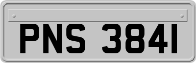 PNS3841