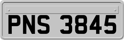 PNS3845