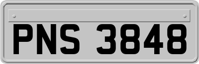 PNS3848