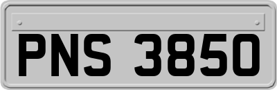 PNS3850