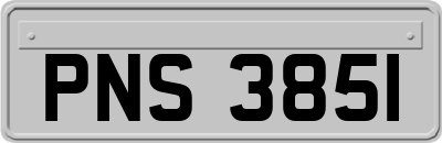 PNS3851