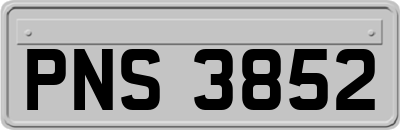 PNS3852