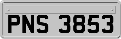 PNS3853