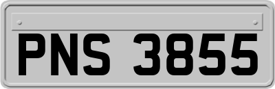 PNS3855
