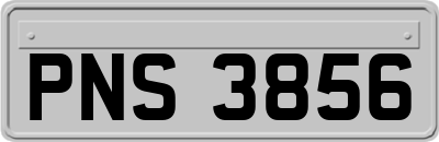 PNS3856