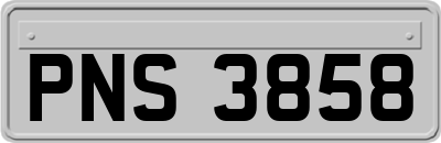 PNS3858