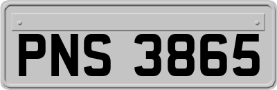 PNS3865