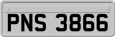 PNS3866