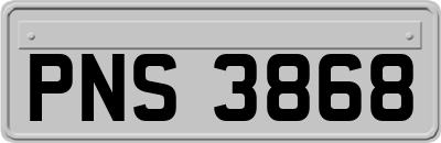 PNS3868