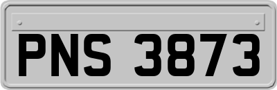 PNS3873