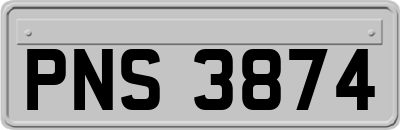 PNS3874