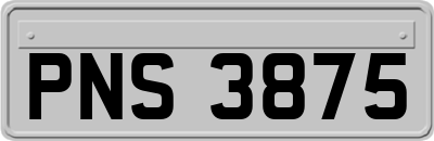 PNS3875