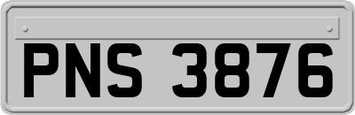 PNS3876