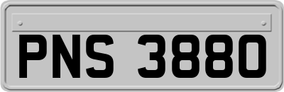 PNS3880