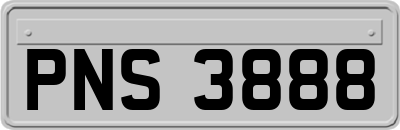 PNS3888