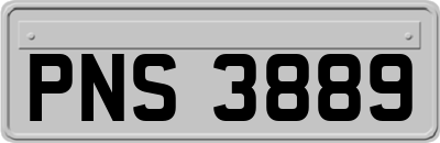 PNS3889
