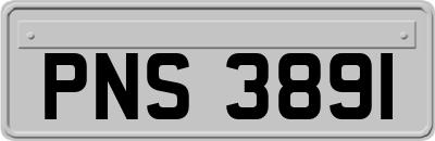 PNS3891