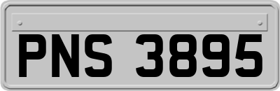 PNS3895