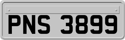 PNS3899