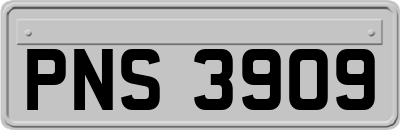 PNS3909
