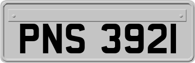 PNS3921